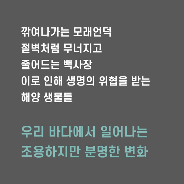 카드뉴스6