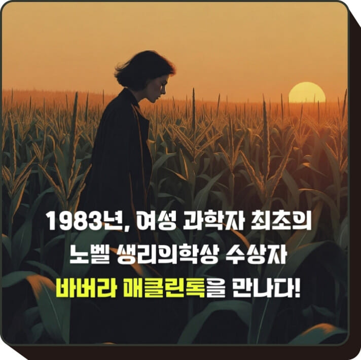카드뉴스1