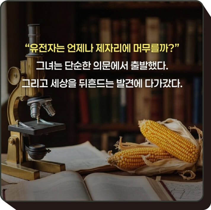 카드뉴스2