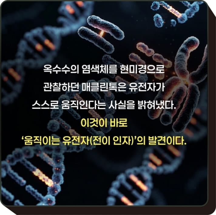 카드뉴스3