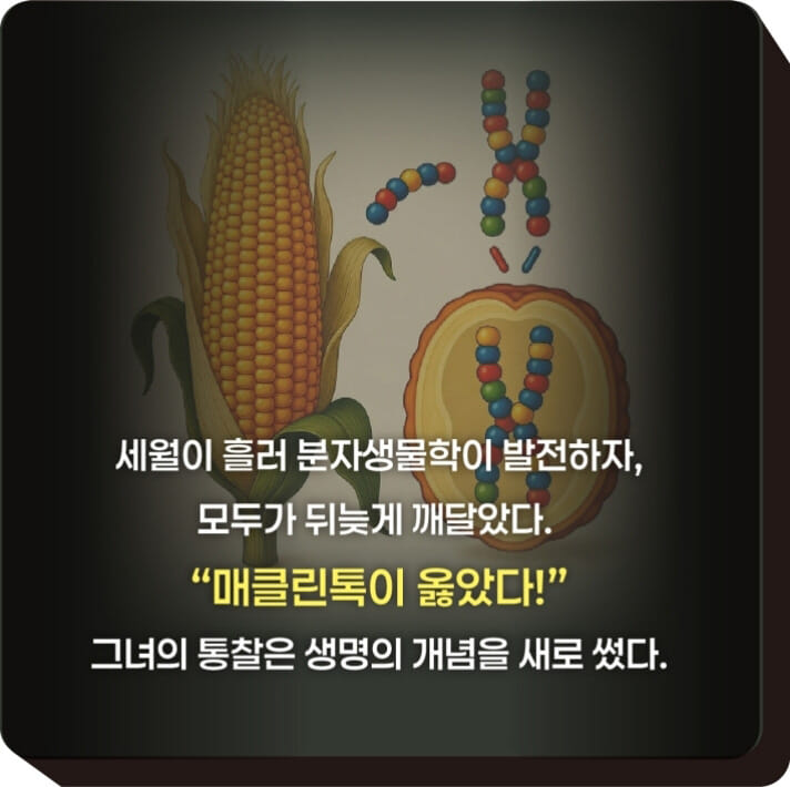 카드뉴스5