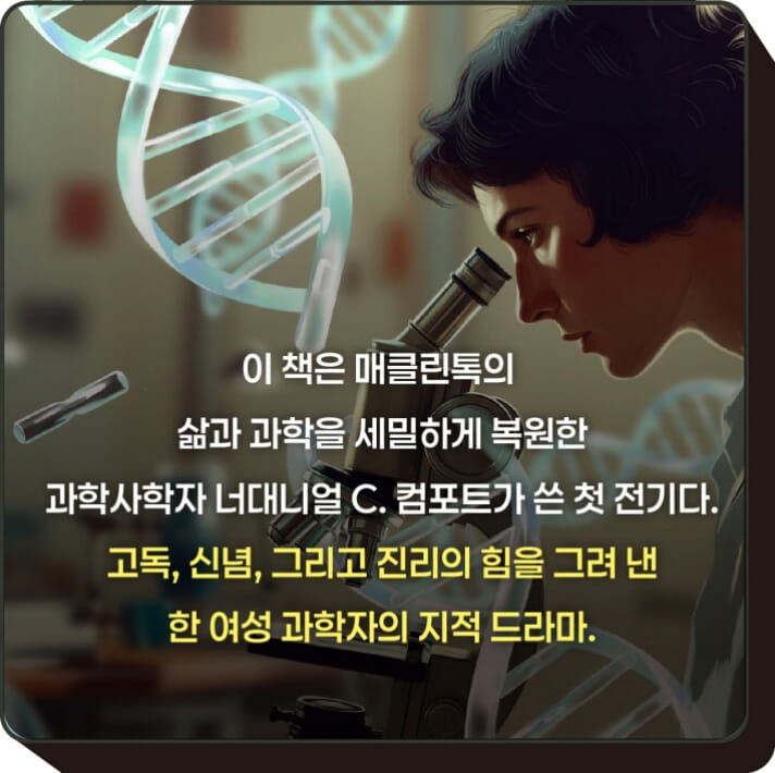 카드뉴스6