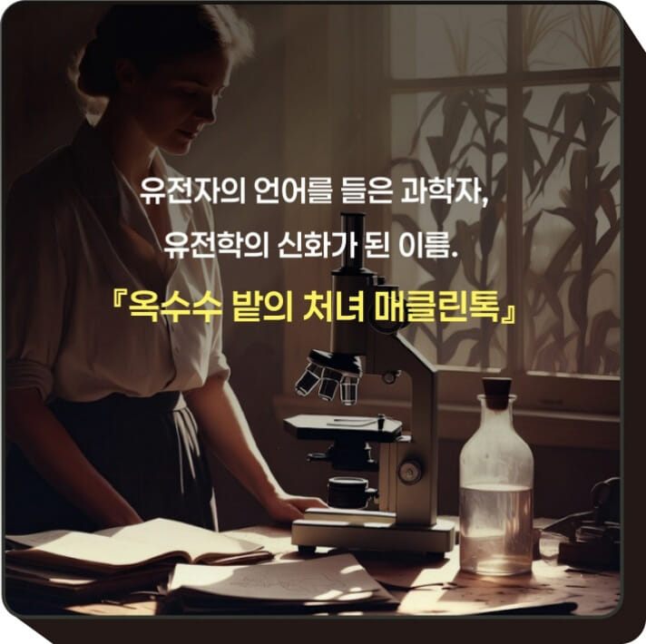 카드뉴스7
