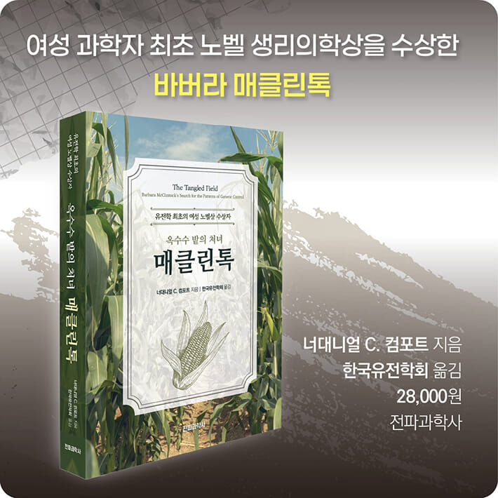 카드뉴스8