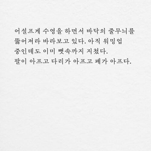 카드뉴스3