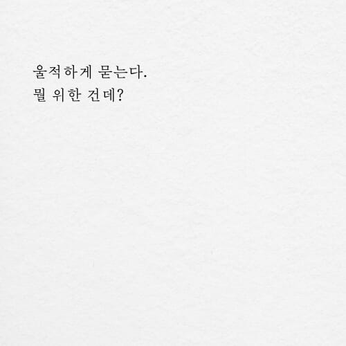 카드뉴스4