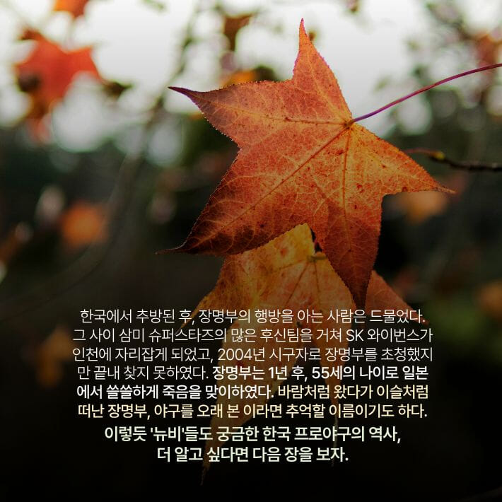 카드뉴스5