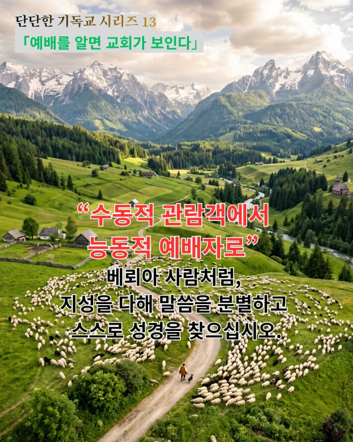 카드뉴스5