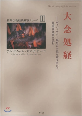 大念處經－ヴィパッサナ-瞑想の全貌を解き