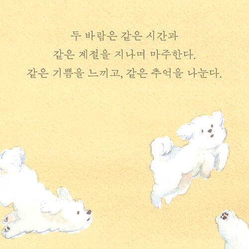카드뉴스5