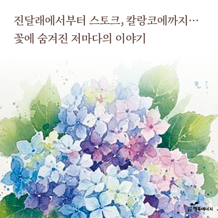 카드뉴스1