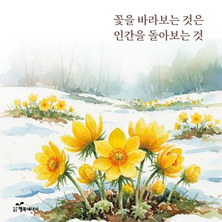 카드뉴스3