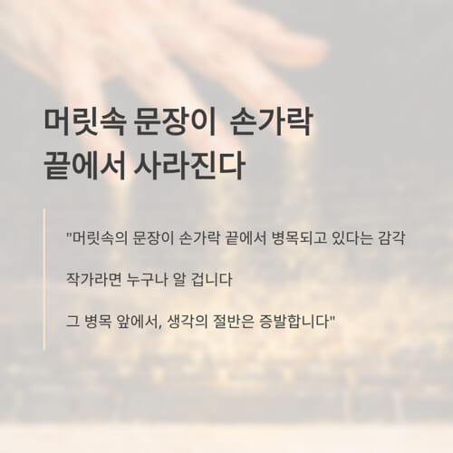 카드뉴스2