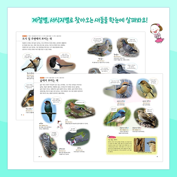 카드뉴스2