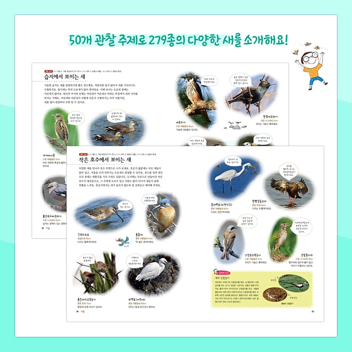 카드뉴스3
