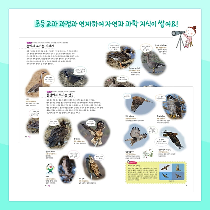 카드뉴스4