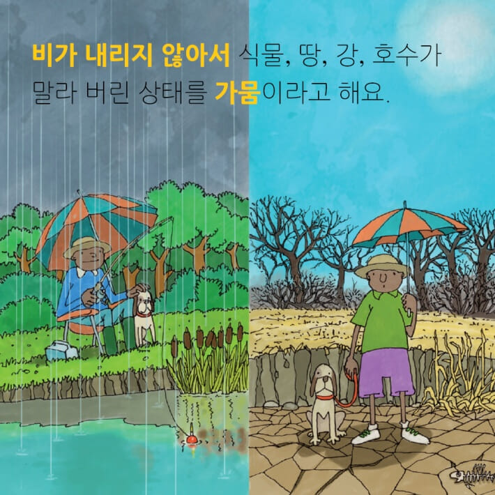 카드뉴스5