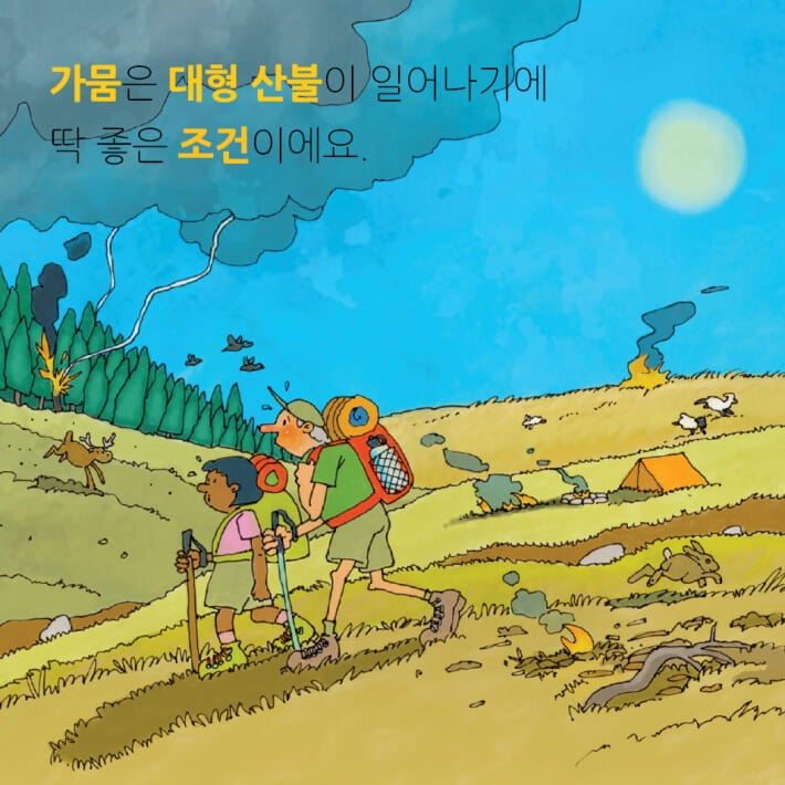 카드뉴스7