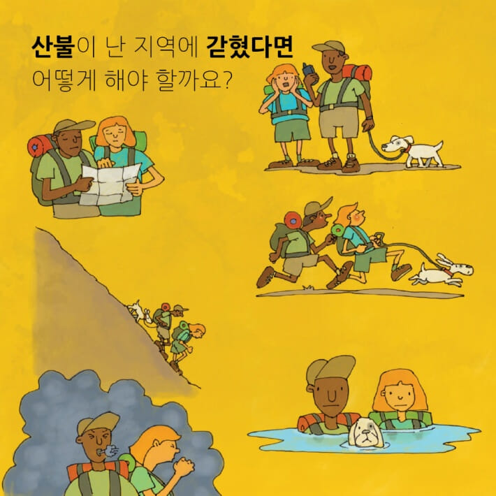 카드뉴스11