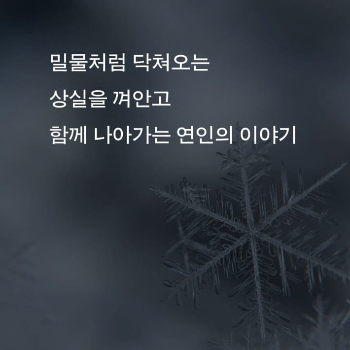 카드뉴스4