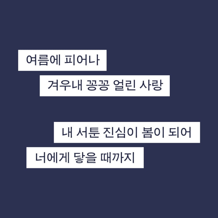 카드뉴스5