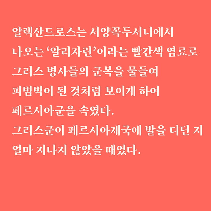 카드뉴스11