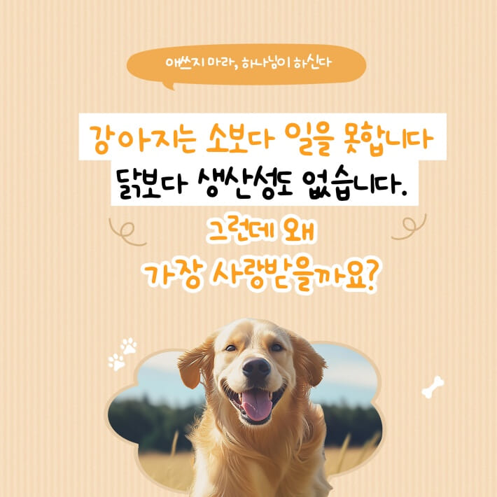 카드뉴스1