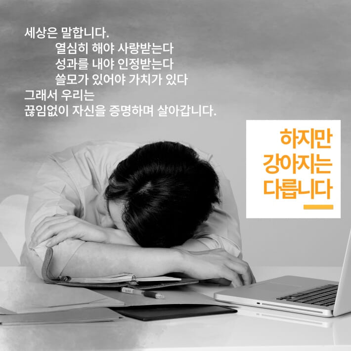 카드뉴스2