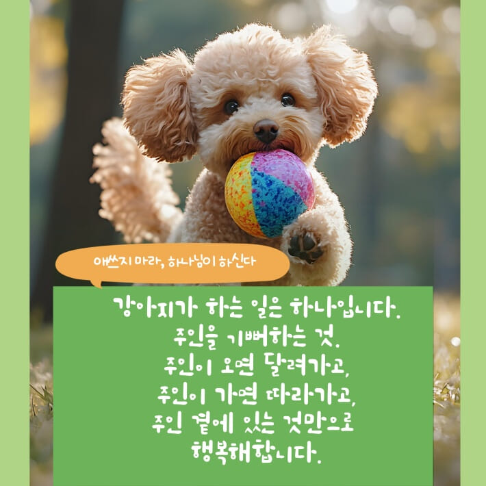 카드뉴스3