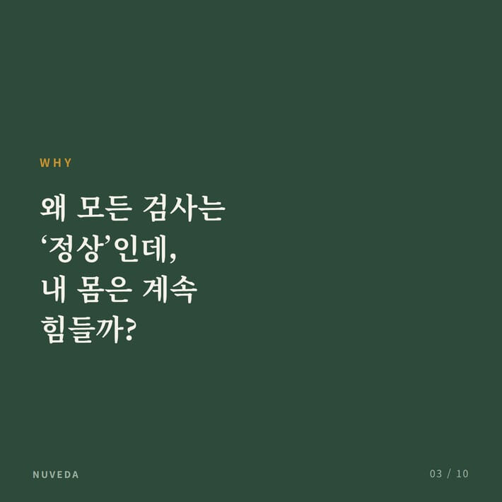 카드뉴스3