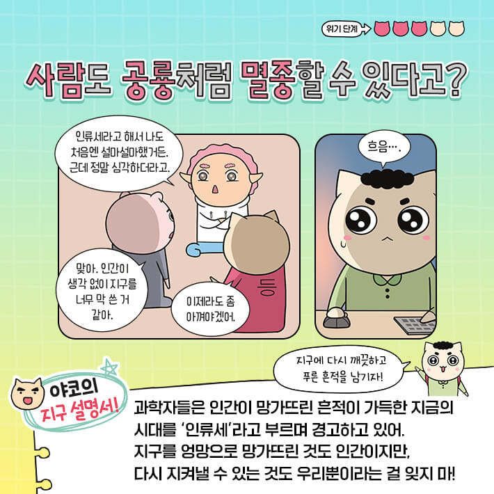 카드뉴스3