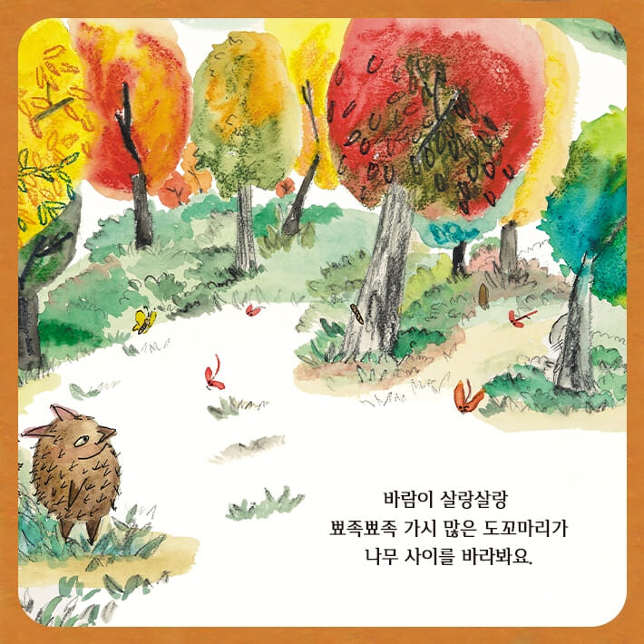 카드뉴스1