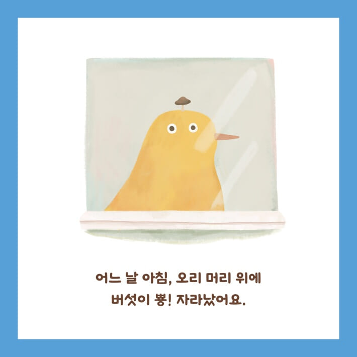 카드뉴스2