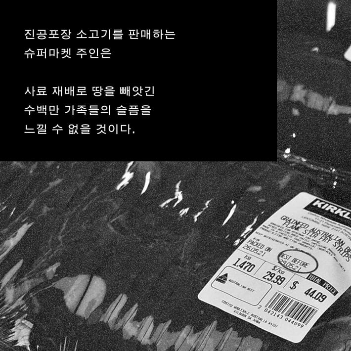카드뉴스2