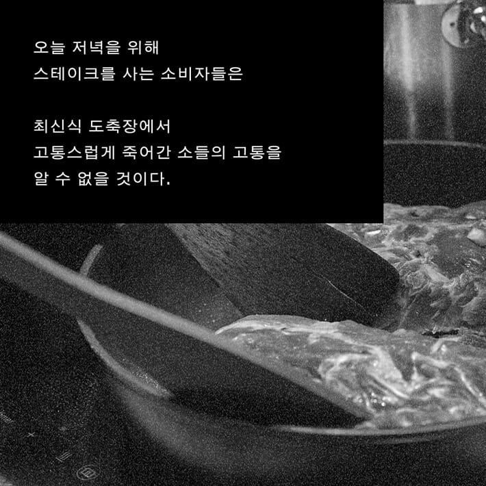 카드뉴스4