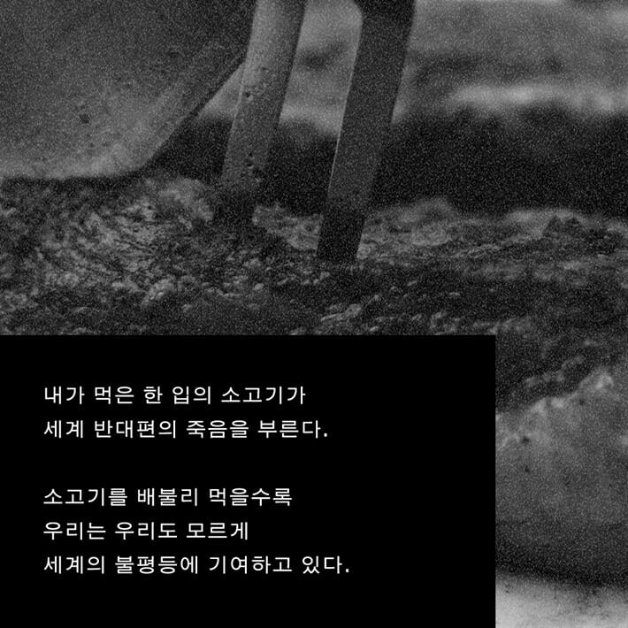 카드뉴스5