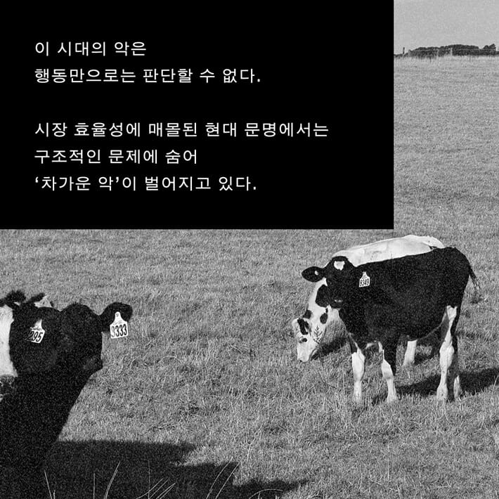 카드뉴스7