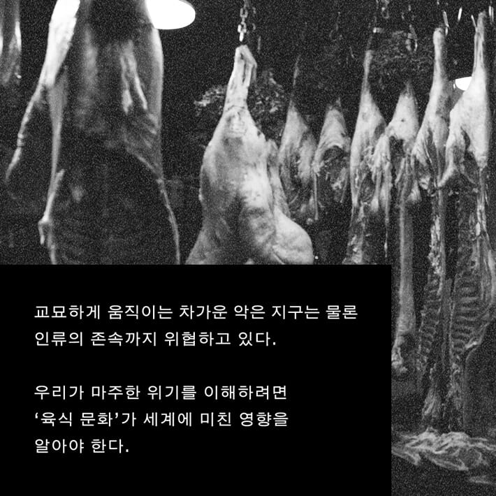 카드뉴스8