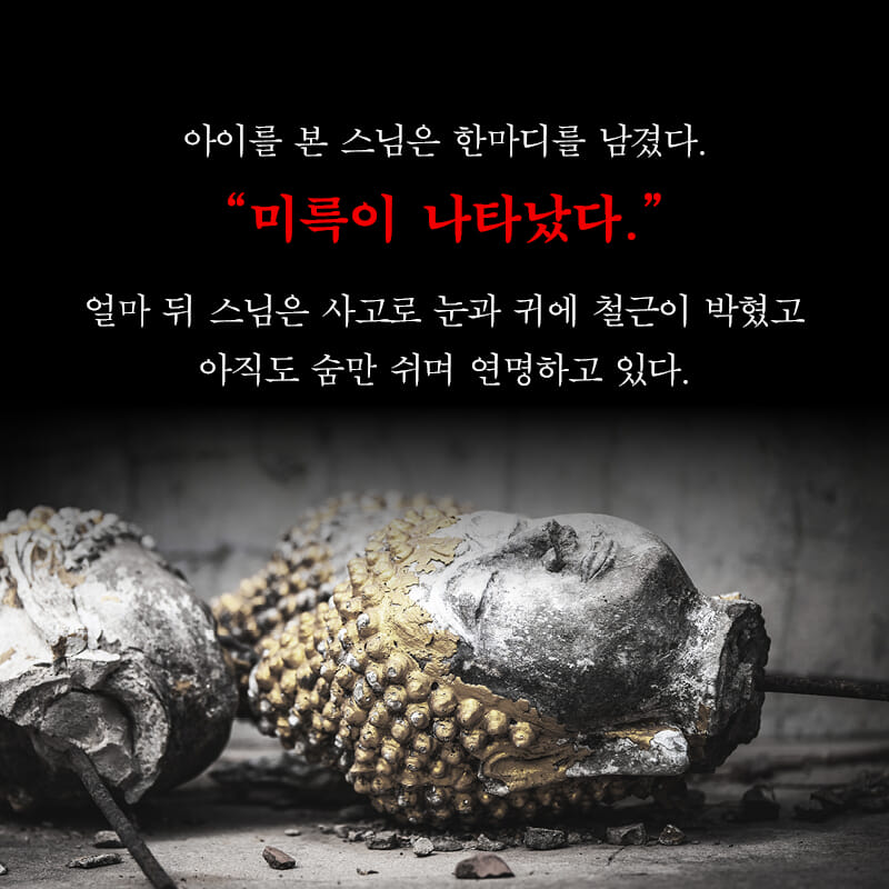 카드뉴스