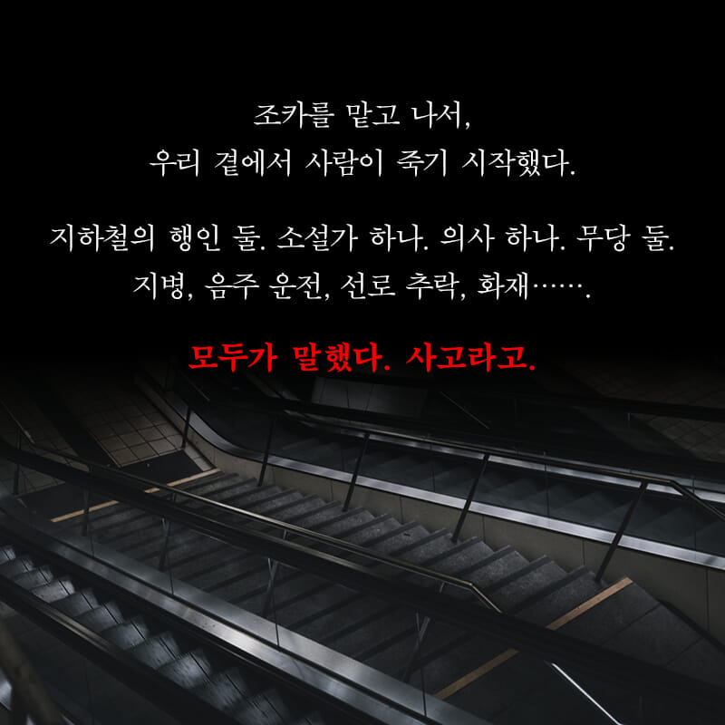 카드뉴스