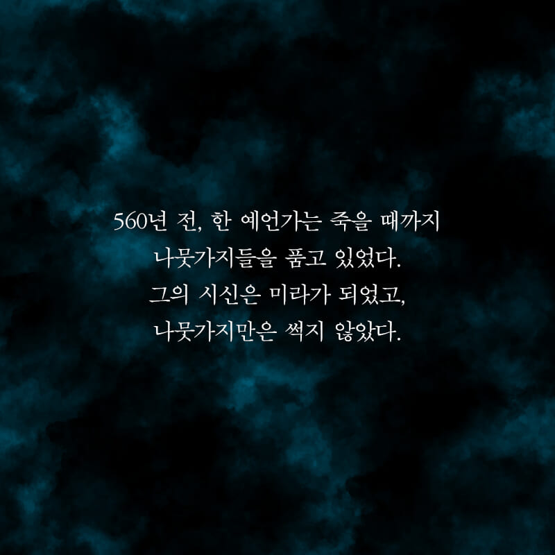 카드뉴스