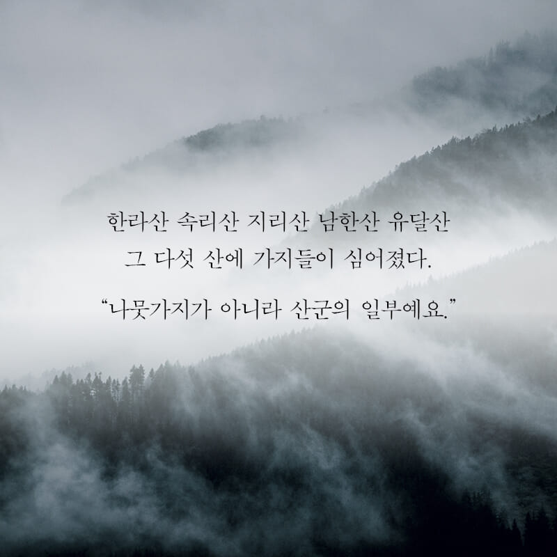 카드뉴스