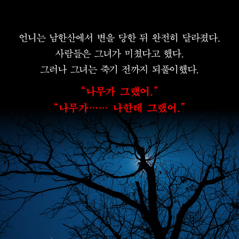 카드뉴스