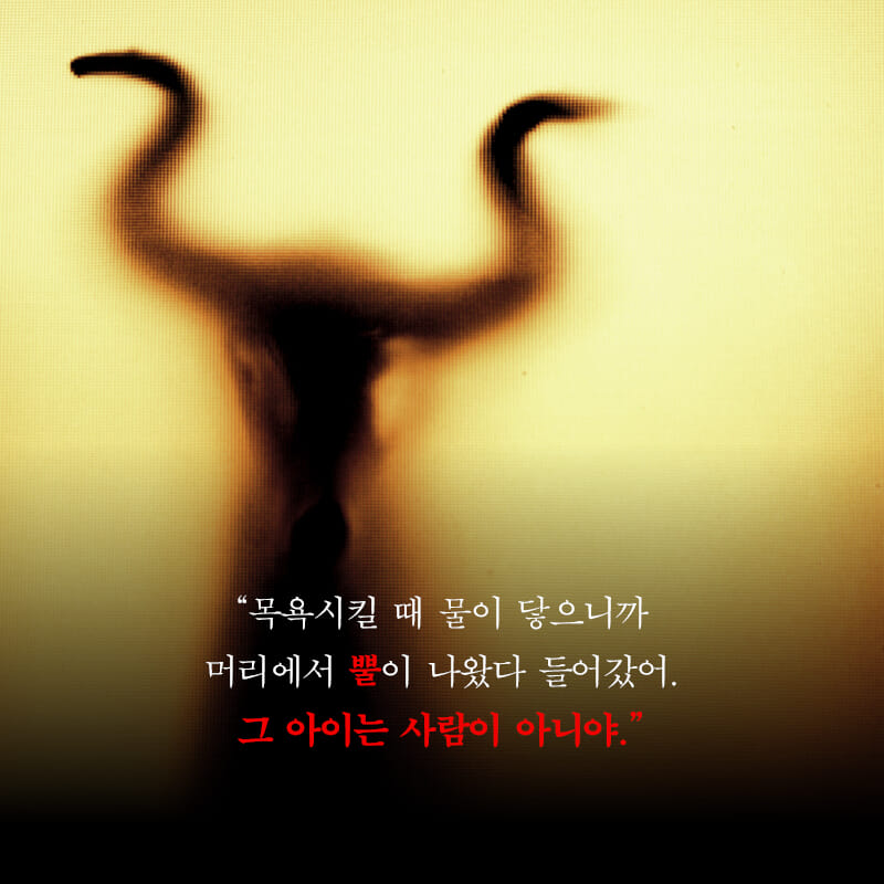 카드뉴스