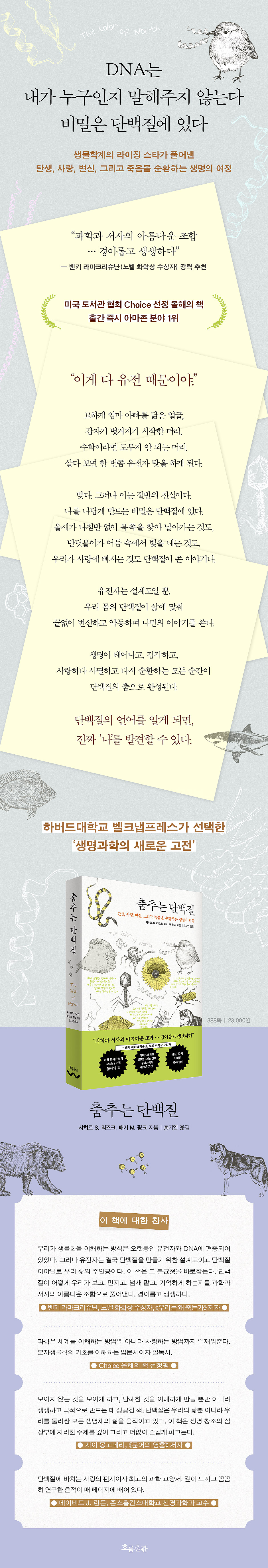 상세 이미지