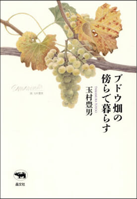 ブドウ畑の傍らで暮らす