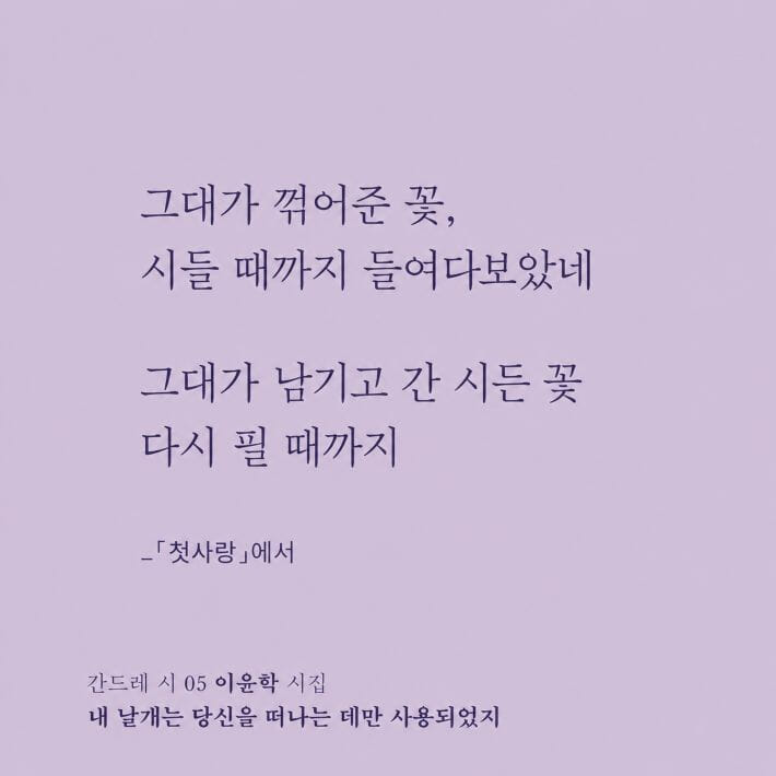 카드뉴스2