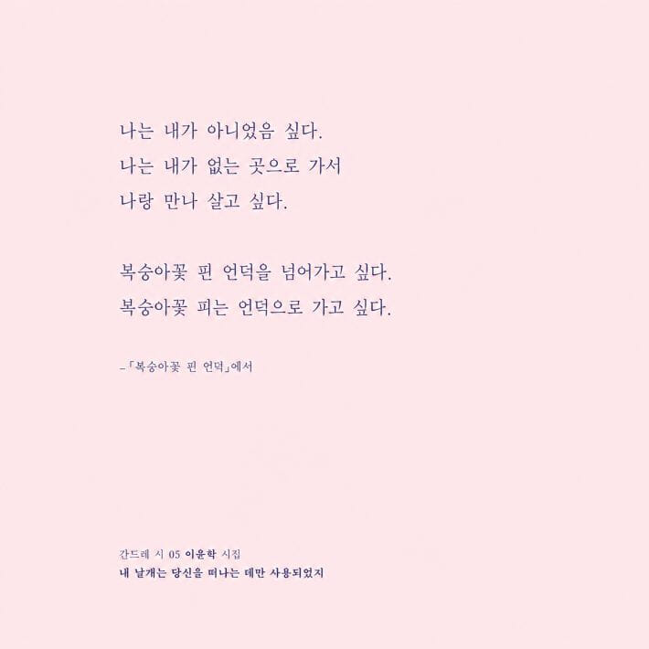카드뉴스4