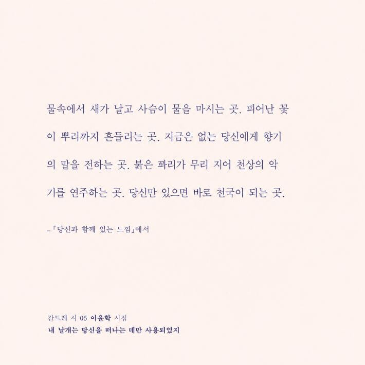 카드뉴스5