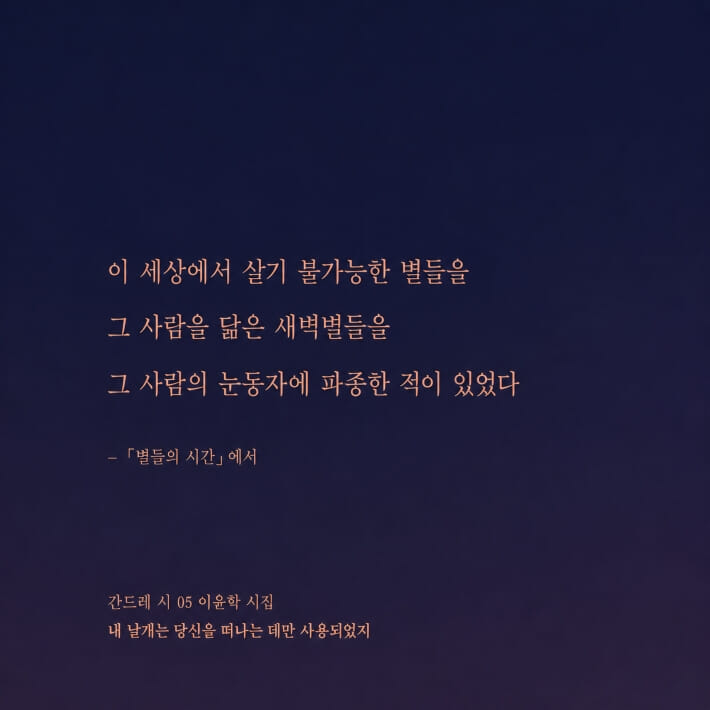 카드뉴스7